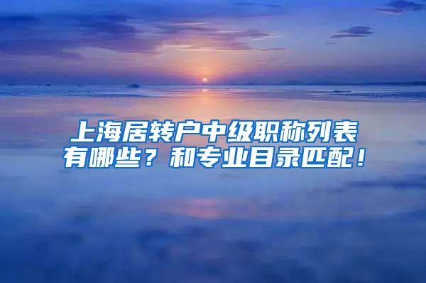 上海居转户中级职称列表有哪些？和专业目录匹配！