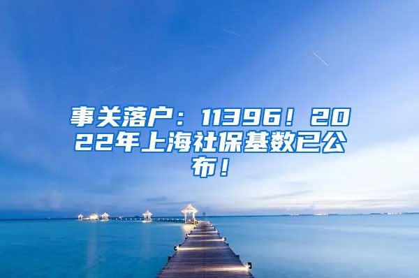 事关落户：11396！2022年上海社保基数已公布！