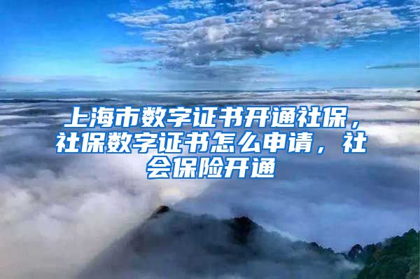 上海市数字证书开通社保，社保数字证书怎么申请，社会保险开通