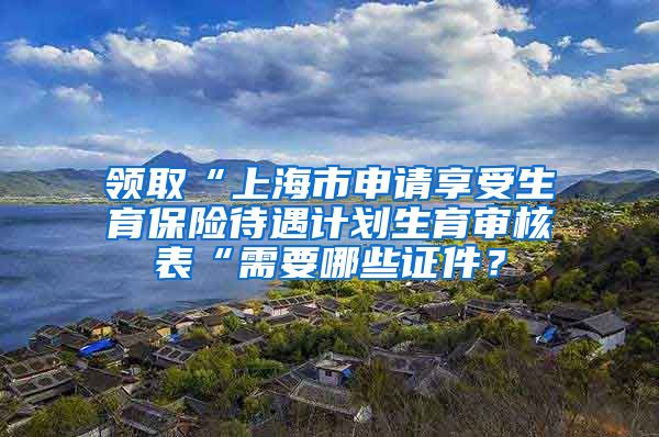 领取“上海市申请享受生育保险待遇计划生育审核表“需要哪些证件？