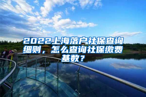 2022上海落户社保查询细则，怎么查询社保缴费基数？