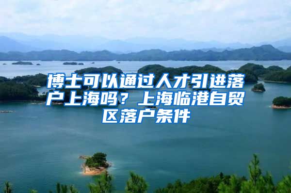 博士可以通过人才引进落户上海吗？上海临港自贸区落户条件