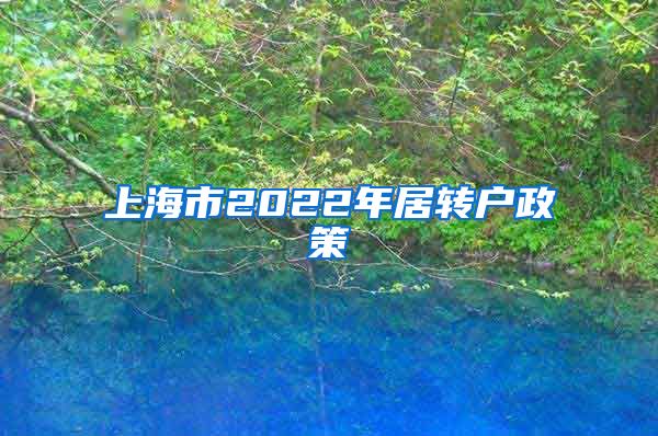 上海市2022年居转户政策