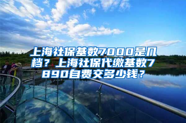 上海社保基数7000是几档？上海社保代缴基数7890自费交多少钱？