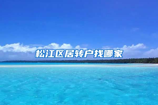 松江区居转户找哪家