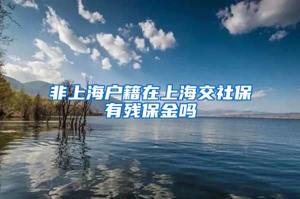 非上海户籍在上海交社保有残保金吗