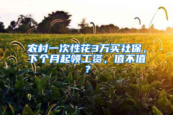 农村一次性花3万买社保，下个月起领工资，值不值？