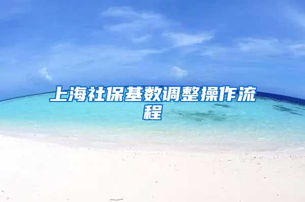 上海社保基数调整操作流程