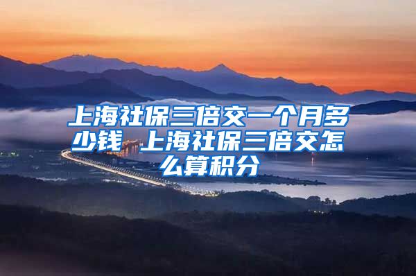 上海社保三倍交一个月多少钱 上海社保三倍交怎么算积分