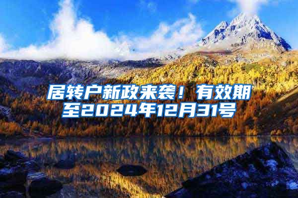 居转户新政来袭！有效期至2024年12月31号