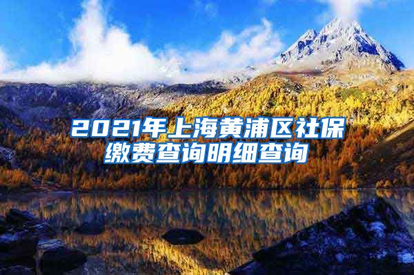 2021年上海黄浦区社保缴费查询明细查询