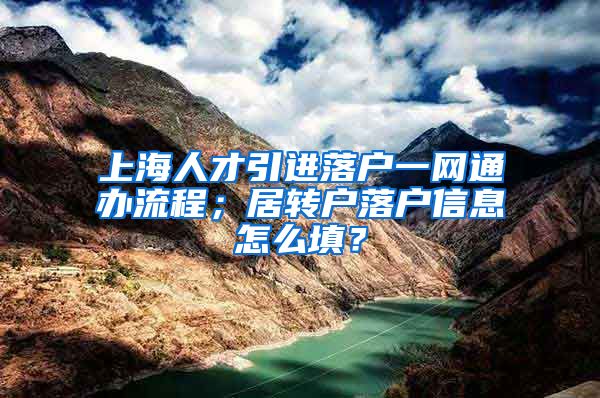 上海人才引进落户一网通办流程；居转户落户信息怎么填？