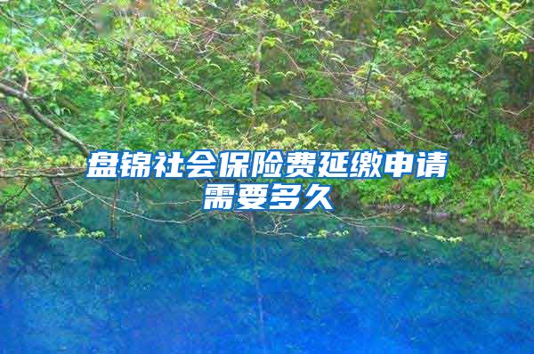 盘锦社会保险费延缴申请需要多久