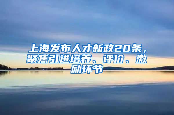 上海发布人才新政20条，聚焦引进培养、评价、激励环节