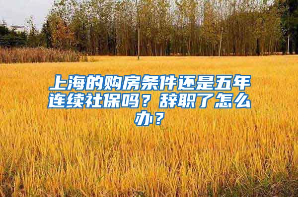 上海的购房条件还是五年连续社保吗？辞职了怎么办？