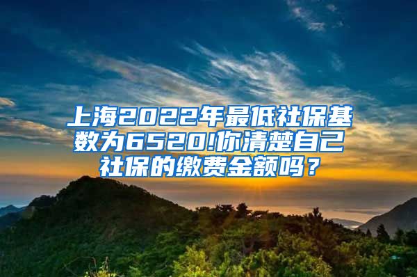 上海2022年最低社保基数为6520!你清楚自己社保的缴费金额吗？