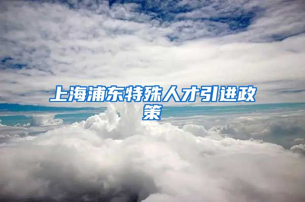 上海浦东特殊人才引进政策