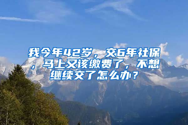 我今年42岁，交6年社保，马上又该缴费了，不想继续交了怎么办？