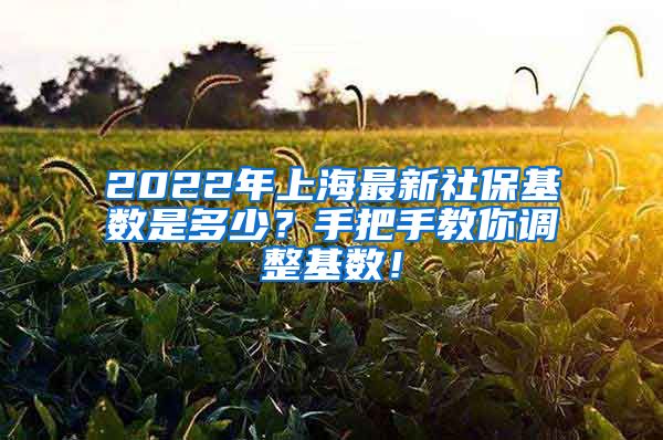 2022年上海最新社保基数是多少？手把手教你调整基数！