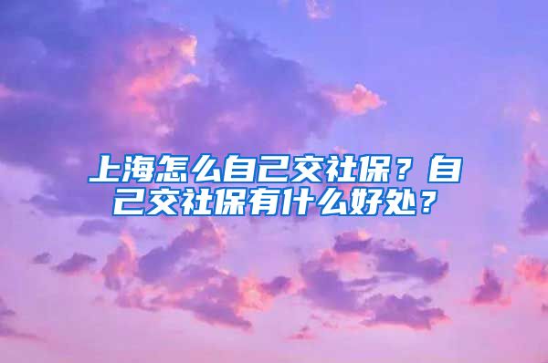 上海怎么自己交社保？自己交社保有什么好处？