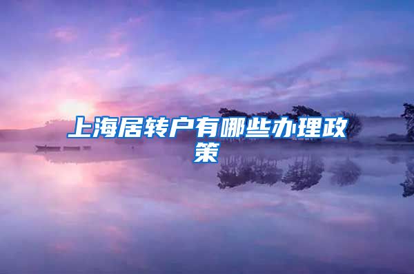 上海居转户有哪些办理政策