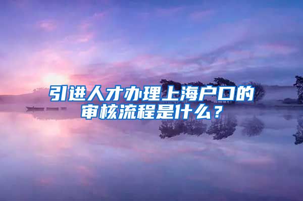 引进人才办理上海户口的审核流程是什么？