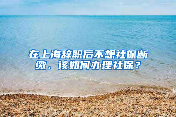 在上海辞职后不想社保断缴，该如何办理社保？