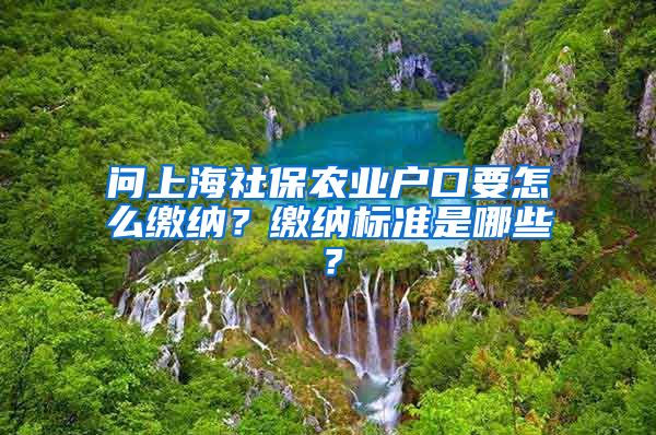 问上海社保农业户口要怎么缴纳？缴纳标准是哪些？