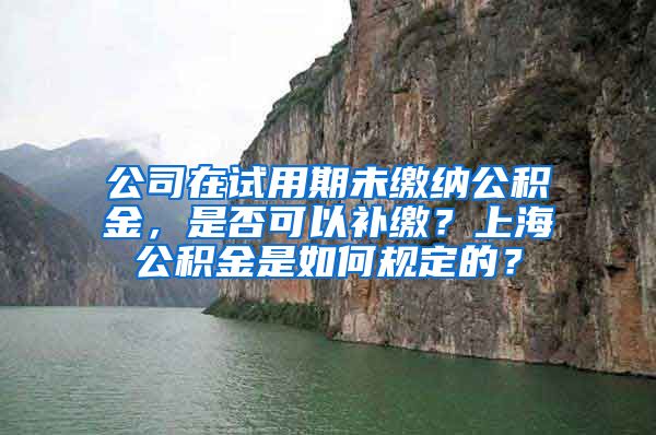 公司在试用期未缴纳公积金，是否可以补缴？上海公积金是如何规定的？