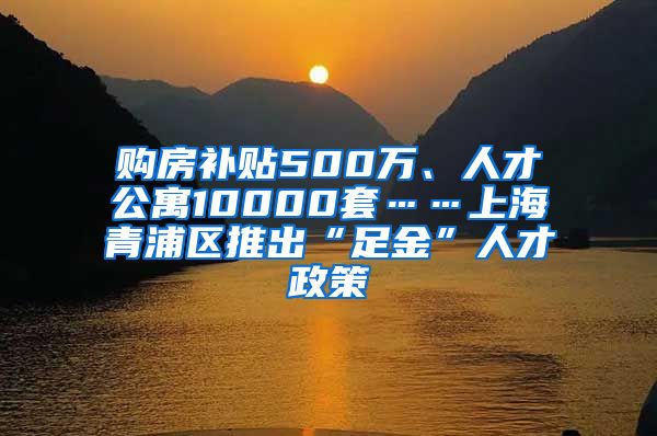 购房补贴500万、人才公寓10000套……上海青浦区推出“足金”人才政策