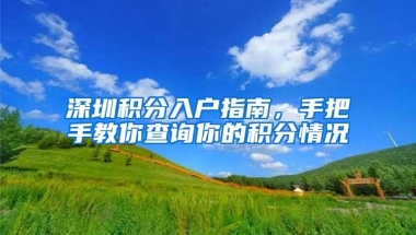 深圳积分入户指南，手把手教你查询你的积分情况