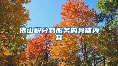 佛山积分制服务的具体内容