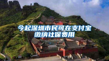 今起深圳市民可在支付宝缴纳社保费用