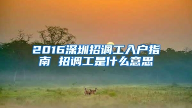 2016深圳招调工入户指南 招调工是什么意思