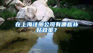 在上海注册公司有哪些补贴政策？