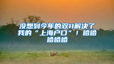 没想到今年的双11解决了我的“上海户口”！哈哈哈哈哈