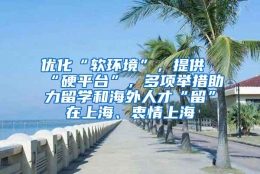 优化“软环境”，提供“硬平台”，多项举措助力留学和海外人才“留”在上海、衷情上海