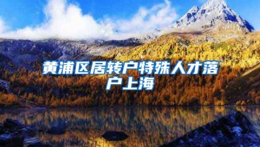 黄浦区居转户特殊人才落户上海