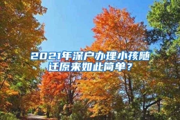 2021年深户办理小孩随迁原来如此简单？