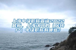 上海中级职称查询2022最新，上海认可的（居转户）中级职称有哪些？