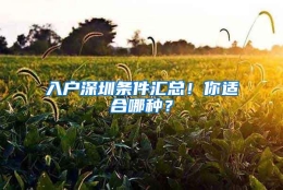 入户深圳条件汇总！你适合哪种？