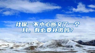 社保一不小心断交了一个月，有必要补缴吗？