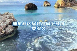 浦东新区居转户网上预审要多久