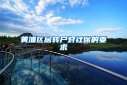 黄浦区居转户对社保的要求