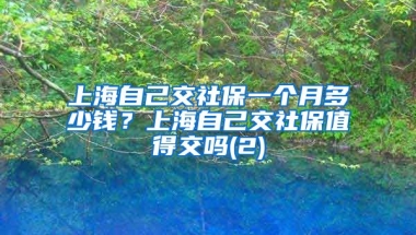 上海自己交社保一个月多少钱？上海自己交社保值得交吗(2)