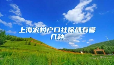 上海农村户口社保都有哪几种