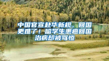 中国官宣赴华新规，回国更难了！留学生患癌回国治病却被骂惨