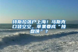 特斯拉落户上海！马斯克口袋空空，苹果要成“接盘侠”？