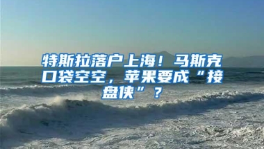 特斯拉落户上海！马斯克口袋空空，苹果要成“接盘侠”？