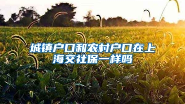 城镇户口和农村户口在上海交社保一样吗